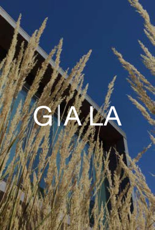 Gala